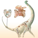 Illustration of the recovered bones, including the heart-shaped tailbones.